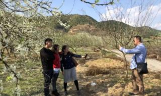 当你过年准备去各地旅游